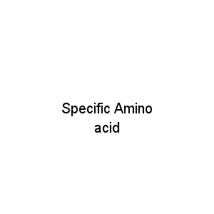 Specific Amino acid